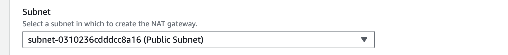 select nat gateway subnet