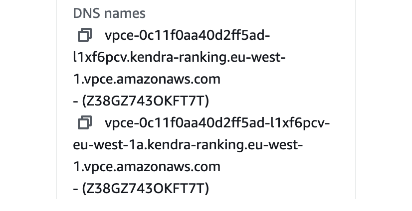 interface endpoint dns names